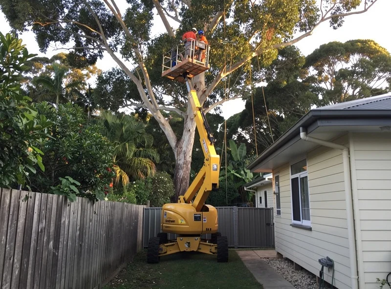Difficult Removals job on the Tweed Coast: Crane, cherry picker, rope work. Tight access, powerlines, over the roof.