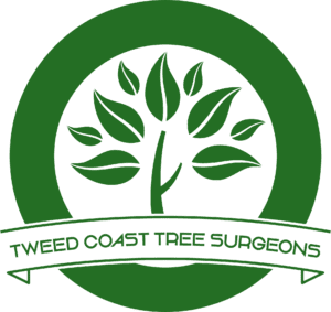 Tweed Coast Tree Surgeons Logo